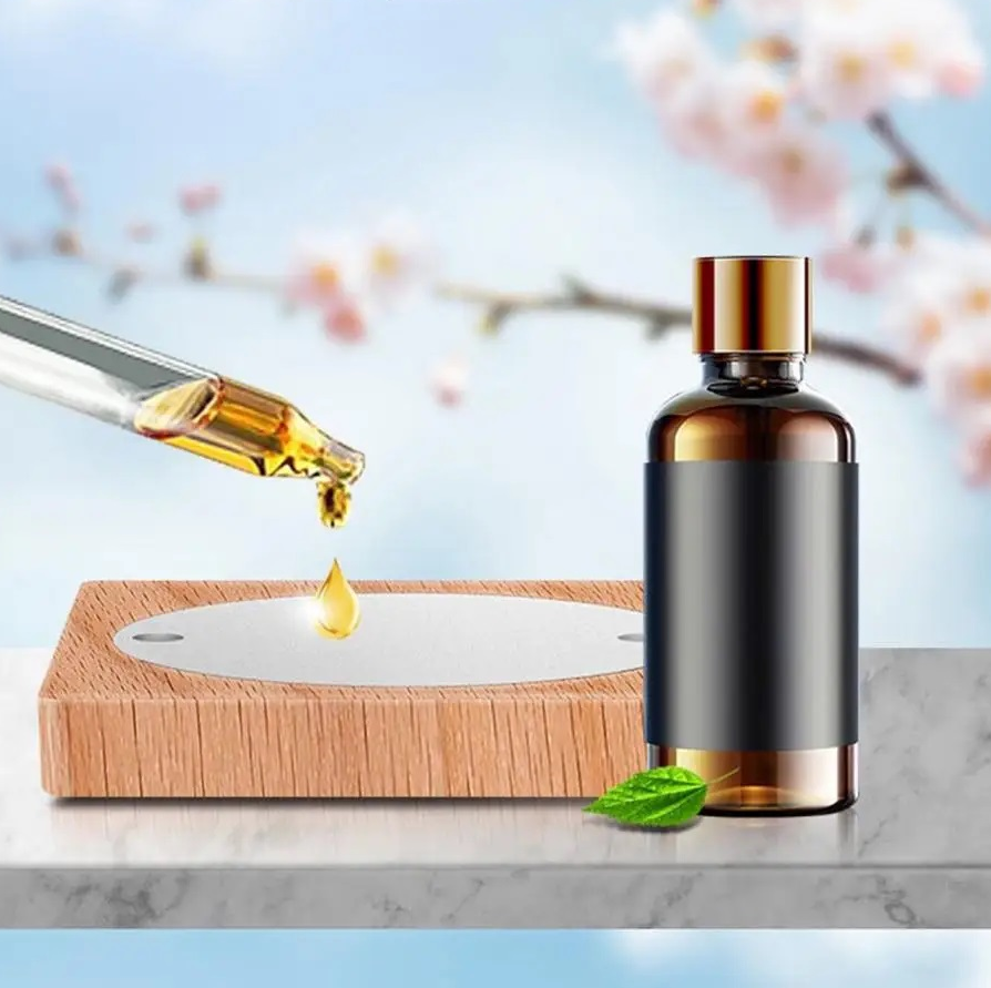 Solar Powered Airplane Essential Oil Diffusers